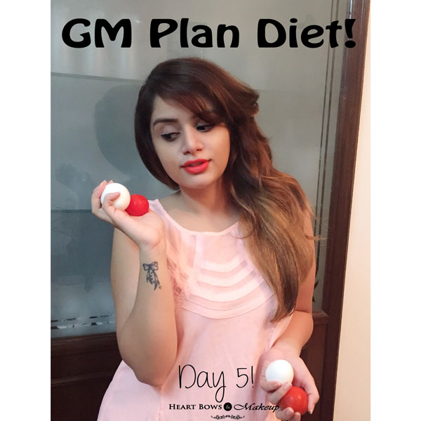  GM Diet Plan Vegetarian Diet Chart My Daily Meal Plan Experience 